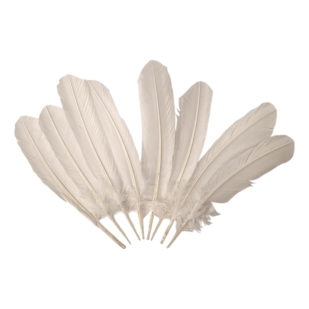 Turkey Feather White, Pack of 6