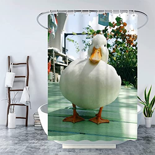 INAAYO 3D Duschvorhang 180x180 Ente Duschvorhänge Antischimmel Wasserdicht Badevorhang Ente Duschrollo für Badewanne Dusche Shower Curtains, 12 Duschvorhang Ringe