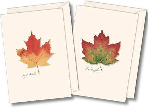 Earth Sky + Water - Maple Leaf Assortment Notecard Set - 8 Blank Cards with Envelopes 4 each of 2 styles
