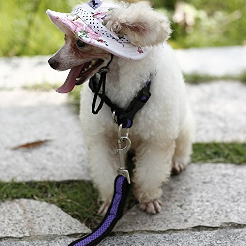 Pet Cap, Round Hat Fashion Dog Canvas Princess Hat Baseball Adjustable Chin Strap Sun Protection Visor For Puppy Dog (M, Flower) #TOP4