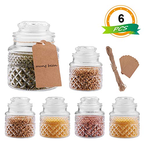 20oz Glass Food Storage Canisters Jars with Tight Lids for Kitchen or Bathroom