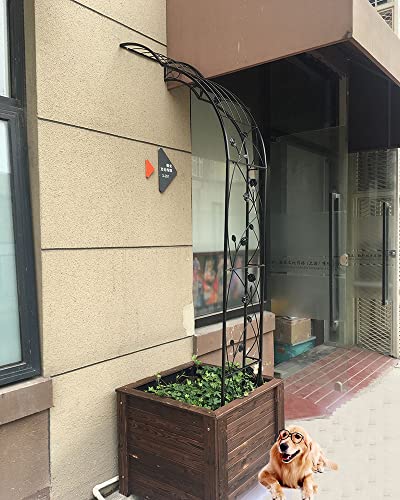 Arche de rosiers murale robuste en fer forgé noir résistante aux intempéries