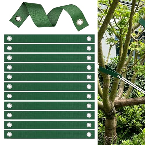 EVBOTGEE 12 Pièces Sangles d'arbre, Sangles de Soutien pour Arbre avec œillets,Attaches pour Arbres, Sangle Arbre Tuteur pour Jeunes Arbres Nouvellement,Liens pour Arbres de Jardin