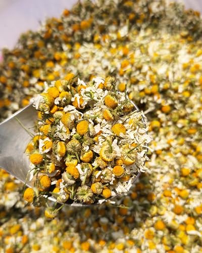 Image of Himalayan Haat Full Bloom Chamomile Flowers - Caffeine-Free Chamomile Tea | Reduces Anxiety, Promotes Sleep & Immunity | Soothes Muscle Pain & Menstrual Cramps | 30g
