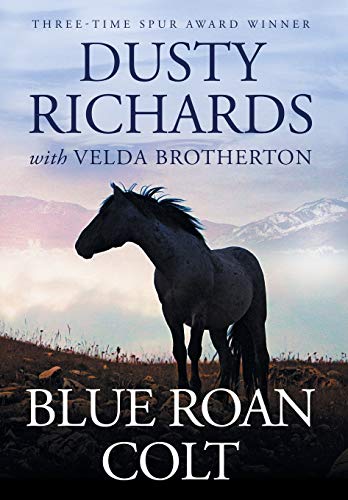 Blue Roan Colt view 2