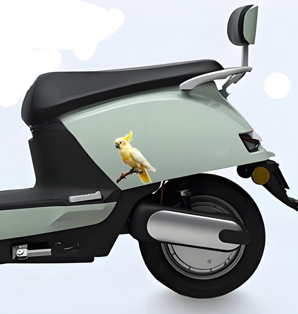 Cute Parrot with Yellow and White Bird Designs Car Stickers 2 Packs of 5.9-inch Vinyl Waterproof Stickers, Suitable for Cars, Motorcycles, laptops, Windows, Easy to Stick and Remove, no Residue FG030 image 5