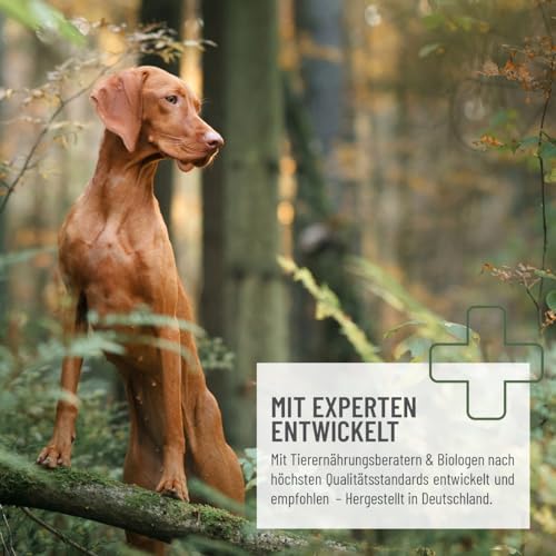 ReaVET Schonkost Hund 1kg - Barf Zusatz I Schonkostflocken für Hunde, Barf Ergänzungsfutter, Gemüseflocken, Futterzusatz ohne künstliche Zusätze