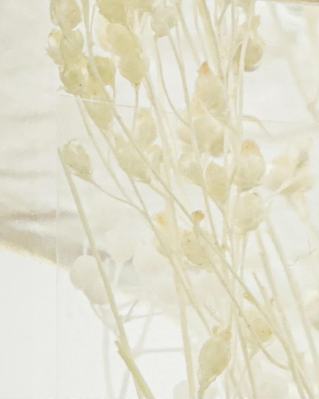 Meraki Raumduft Diffuser Vivid Shades 240 ml | Duftstäbchen mit Zitrus, Gewürzen & Holznoten | Aromatischer Reed Diffuser | Stilvolle Raumdekoration
