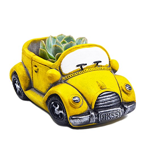 Ascrafter Cute Cacti & Succulent Plants Pot, Succulent Decor Planter Pot Indoor/Outdoor (Yellow)