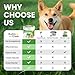 Pet Teeth Cleaning Wipes for Dogs & Cats, Pet Dental Finger Wipes for Dogs, No-Rinse Dog Toothbrush Toothpaste to Reduce Plaque & Tartar, Disposable Dog Tooth Brushing Kit - Mint Flavor - 50 Count