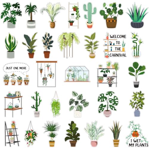Pack de 32 imanes decorativos de plantas Copkim