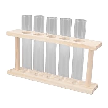 Amazon.co.jp: 5 試験管植物テラリウム 木製スタンド付き - 透明