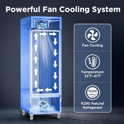 Image of Coolake 27 inch W Glass Door Commercial Display Refrigerator, 23 Cu.Ft Stainless Steel Merchandiser Refrigerator, Reach-In Merchandiser Fridge with Led Lighting for Restaurant Retail Shop Stores