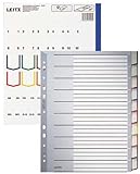Leitz Register für A4, Deckblatt aus Karton und 10 Trennblätter aus Kunststoff, Taben mit auswechselbaren Einsteckschildchen, Grau, 43700000