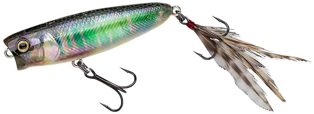 Amazon.co.jp: ノリーズ(Nories) タフバグビッグ 80 395LH