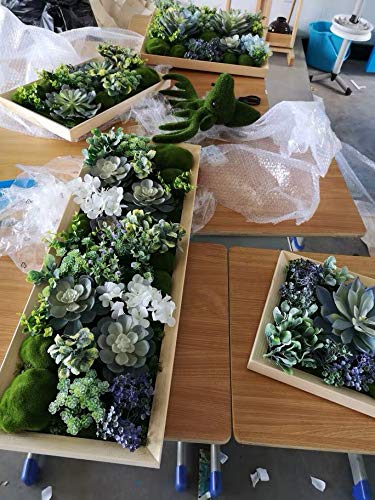 24 Künstliche Sukkulenten Sortiment – Realistische DIY-Deko Für Töpfe, Deko & Heimwerker