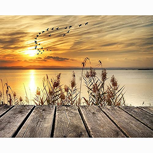 Diamant Peinture Point De Croix Anti-Stress Grand Format Coucher du Soleil