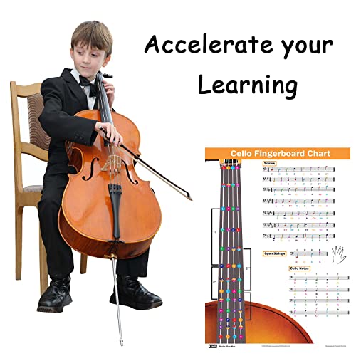 Qmg Cello Fingering Chart With Color-Coded Notes thumb #4