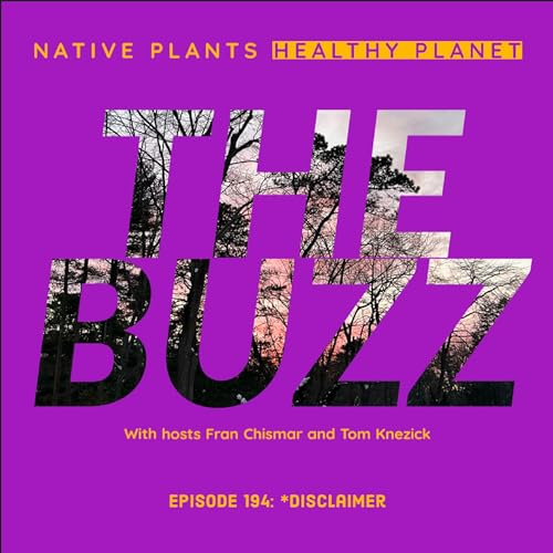 The Buzz - Disclaimer Podcast Por  arte de portada
