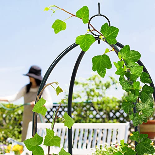 Arche à rosiers avec pointe décorative gloriette robuste en métal vert 2,4 m - 8