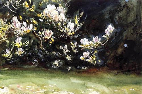 Reproducción de lienzo pared impresiones lienzo murales Magnolie di John Singer Sargent para regalo