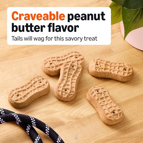 Amazon Basics Crunchy Dog Biscuits Peanut Butter Flavor Dog Treats 5 lb. Box - Image 3