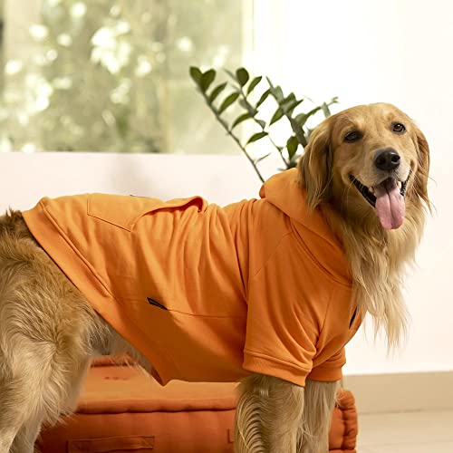 Image of Heads Up For Tails Sweatshirt for Dogs - Orange - XL