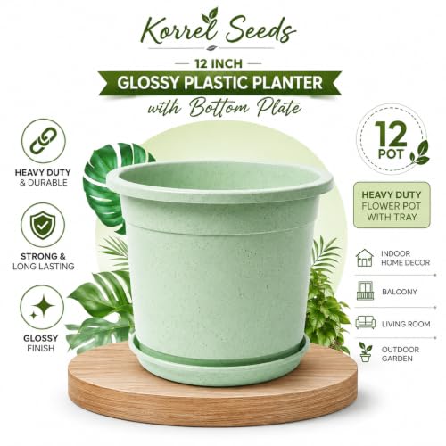 Image of 12 Inch Glossy Plastic Planter with Bottom Plate | Heavy Duty Flower Pot with Tray for Indoor Home Decor, Balcony, Living Room & Outdoor Garden (12 Pot, Mint Sparkle)