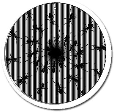 Ants - Medium 5.5 Inch CineSpinner - Animated Suncatcher