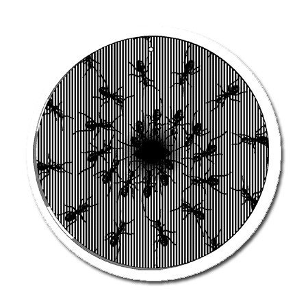 Ants - Medium 5.5 Inch CineSpinner - Animated Suncatcher