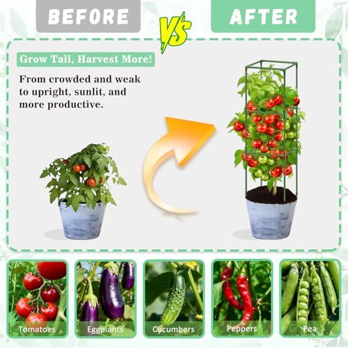 Treillis à tomates Riare anti-affaissement pour lit surélevé - 7