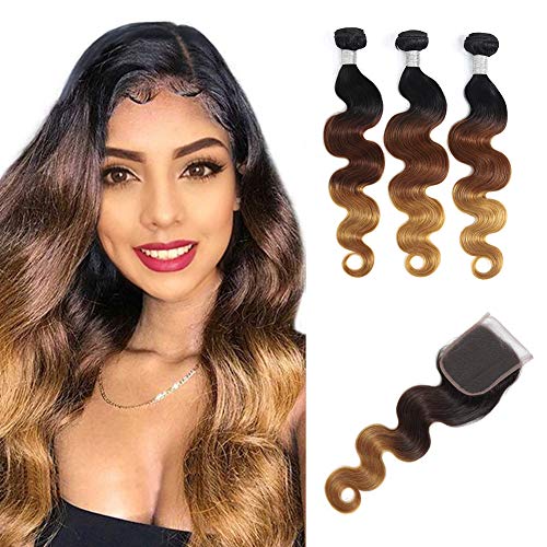 Ombre Bundles with Closure Body Wave 3 Bundles Brazilian Virgin Human Hair Bundles with 4X4 Lace Closure Free Part (10 12 14 + 10 lace closure free part)