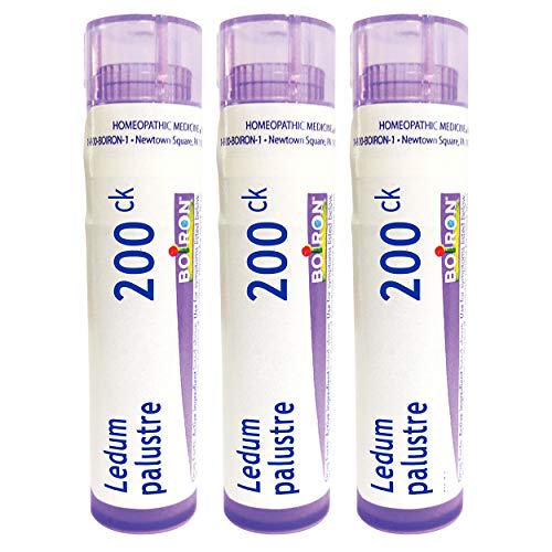 Boiron Ledum Palustre 200ck, Homeopathic Medicine for Insect Bites or Bruising, 3 Count