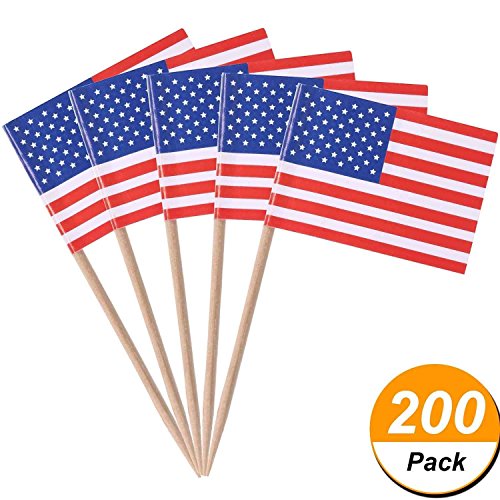 Gifts 4 All Occasions Limited SHATCHI-1184 SHATCHI 200 Pack USA US American Flag Picks Toothpicks Cocktail Sticks Cupcake Toppers for Patriotic Theme Party 4th of July Decorations, Multi