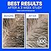 Head & Shoulders Anti-Dandruff Shampoo with 1% Pyrithione Zinc, Classic Clean Shampoo Twin Pack, Daily Use, Flake Control, Scalp Care, Color-Safe, Deep Clean, 32.1 fl oz Each