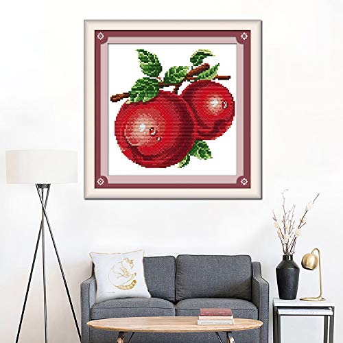 OWN4B Cross Stitch Kits Stamped, Water-Drop Apples Printed Pattern 11CT 12.6x10.6 inch DIY Embroidery Kit - Image 2