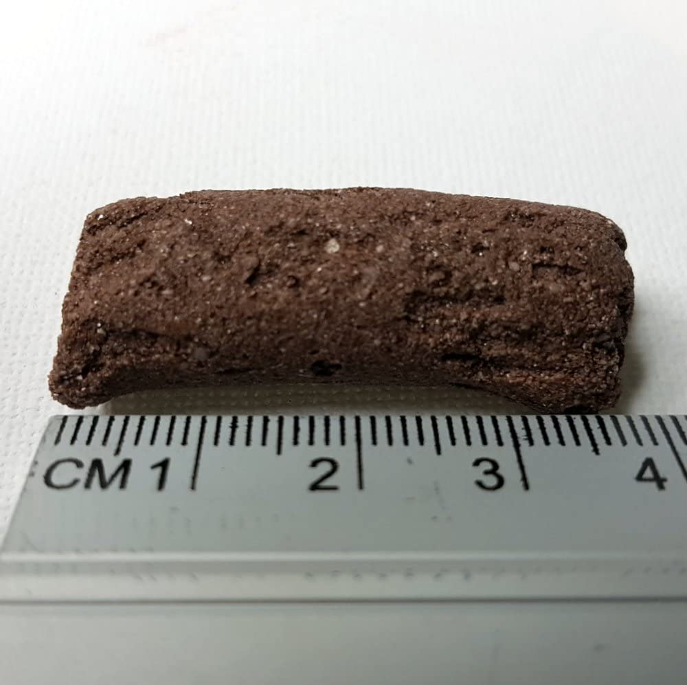 Biohome Ultimate Marine è Un Materiale filtrante Biologico per filtri acquari; per sostenere la Crescita di batteri benefici – Bio.UltimateMarine.3kg