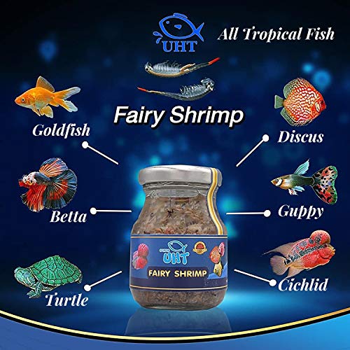 A.d.p. Uth Fish Food Fresh Fairy Shrimp 75 G. Best Tropical Fish Food Grow Faster & Color Enhancer Slow Sinking Like Pellets High Protein 74.41% For All Baby Fry Newborn Fish Feed & Small Fish Care #TOP2