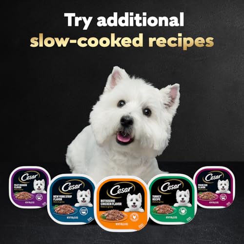 Image of Cesar Filets in Gravy Adult Wet Dog Food Variety Package,Poultry Lovers with Rotisserie Chicken Flavor and Turkey Recipe,3.5 oz. Easy Peel Trays,12 Count (Pack of 4)