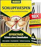 Ridix® Schlupfwespen gegen Lebensmittelmotten [3 Lieferungen mit je 6 Karten = 18 Karten] - Schlupfwespen gegen Motten als biologische Lösung frei von Chemie - Schlupfwespen Lebensmittelmotten