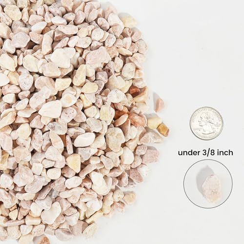 Image of CONSDAN 12 LBS Natural Gravel for Fish Tank, StoneCreek Betta Fish Aquarium Gravel, Vase Filler, River Rocks, Fish Tank Decorations, Perfect for Aquarium Decor, Fish Tank, & Indoor Plant, Pale Yellow