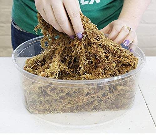 Amazon | ニュージーランド産 ミズゴケ水苔5A/3A (5A 80L) | 用土