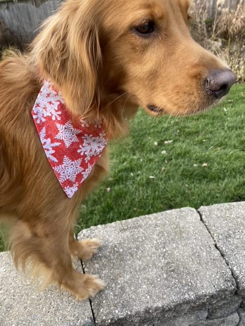 Miniatura 6 de Christmas Dog Bandana,Snowflakes, over the collar slip on bandana, washable dog bibs, neckerchief, scarf for cat, dog scarf holiday bandana winter,