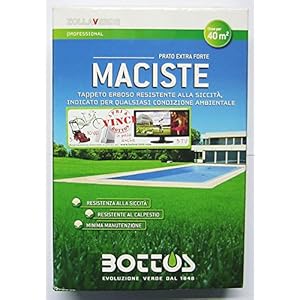 Maciste – zaden voor tapijt turf – ideaal voor droogzones in de zone, 1 kg