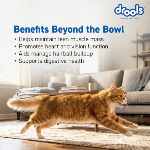 Image of Drools Adult Dry Cat Food 1.2kg Pack | Real Chicken Flavour |Taurine that Helps Maintain a Healthy Heart | Healthy Skin & Beautiful Coat | Complete Nutrition | Digestive Health | Healthy Growth
