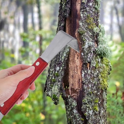 Herramienta para raspar corteza de árbol con mango de madera miniatura 6