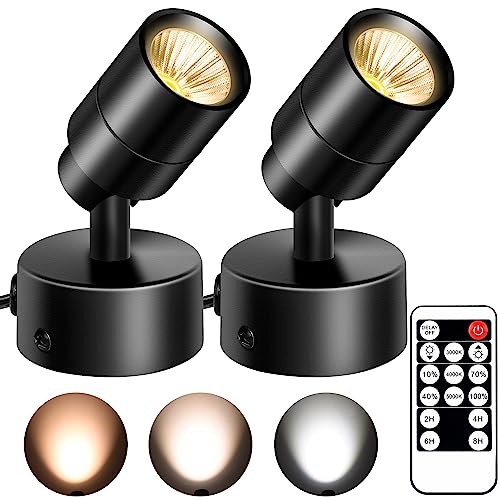 FZWLE 2 Pack Dimmable Spot Lights Indoor with Remote Control, 3000K/4000K/5000K Adjustable LED Up Lights,3W Plant Spotlight Indoor Uplighting, Indoor Accent Light for Plants FZWLE 2 Pack Dimmable Spot Lights Indoor with Remote Control, 3000K/4000K/5000K Adjustable LED Up Lights,3W Plant Spotlight Indoor Uplighting, Indoor Accent Light for Plants