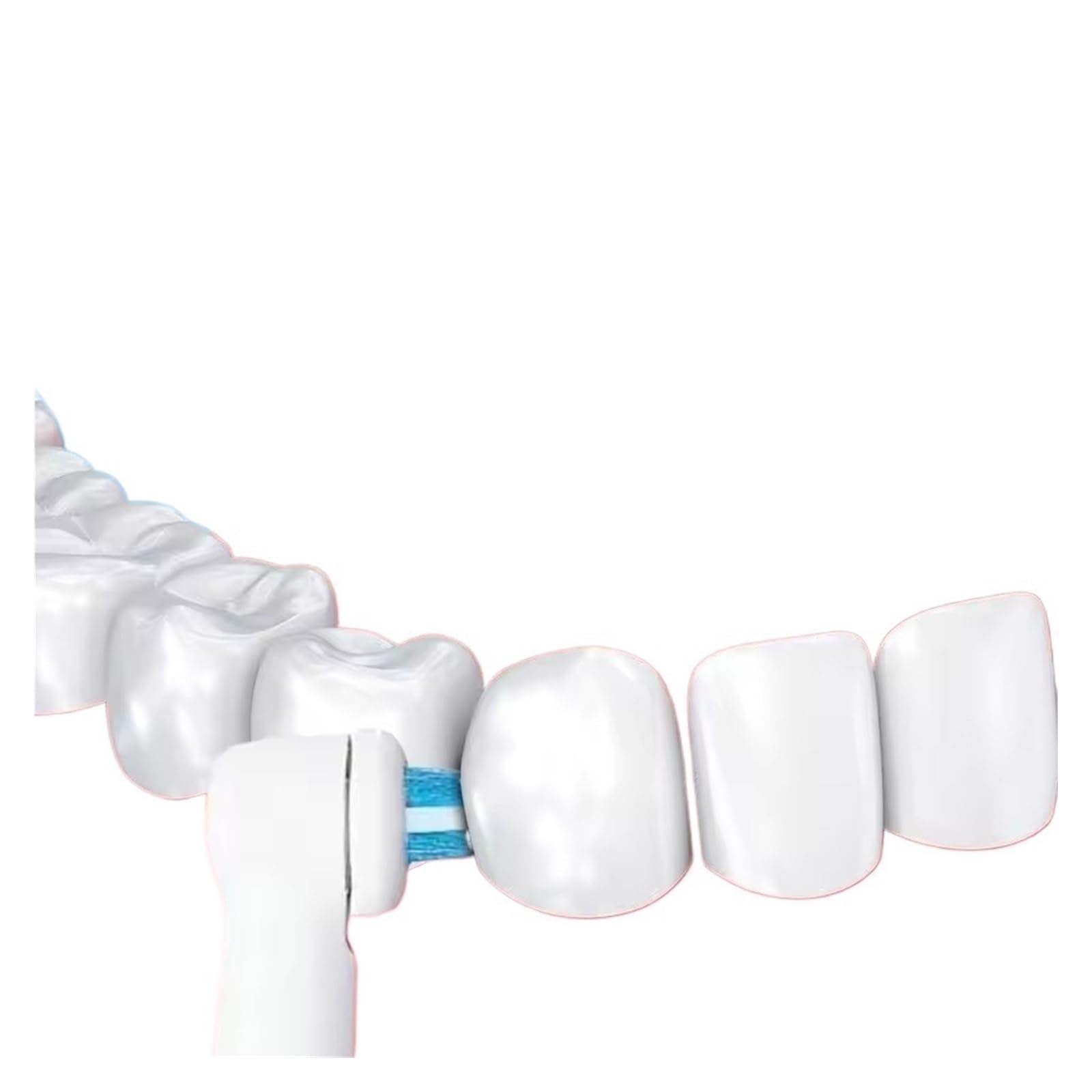 Testine For Spazzolino, Compatibili Con Oral-B/Ortho Power Tip