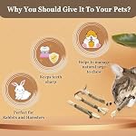 SunGrow Delicious Pet Snack Silvervine Sticks, Chewable Corn Husk and Insect Lean Fruit, Perfect Teeth Care for Cats, Rabbits and Other Pets, 3 Pcs - Image 2