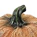 Amosfun Resin Pumpkin Reptile Hideout 3-Inch Terrarium Decor for Lizards Frogs Turtles Naturalistic Reptile Tank Shelter Cave